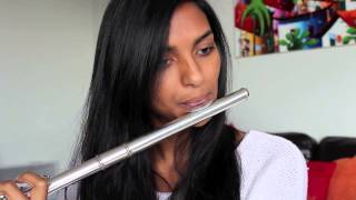 Don't you worry child - Swedish House Mafia Flute Cover
