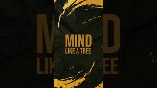 Scorpions From The First Sting - Mind Like A Tree