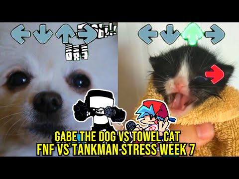 STRESS BUT GABE THE DOG VS TOWEL CAT - Friday Night Funkin' Animation Week 7 - VS Tankman