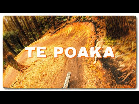 Brand New Te Poaka!  |  The Highway of Rotorua Redwood's Trails!