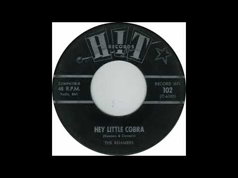 The Roamers - Hey Little Cobra (1964)