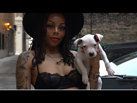 Video thumbnail WUnc1MubuK8