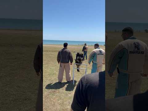 OBEDIENCIA.🇩🇪🇮🇷