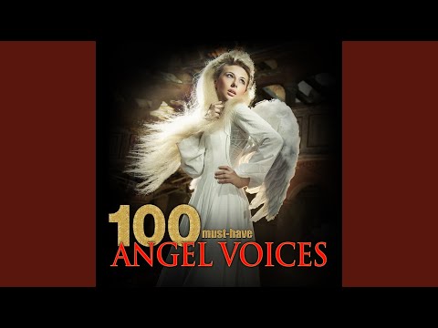 Mass No. 14 in B-Flat Major, "Harmoniemesse": VI. Agnus Dei