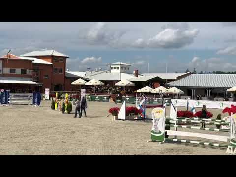 Tracja (Spartacus x Triple) 2020/09/06 SCPMK 7yo final - 135 cm I SPRZEDANA/SOLD