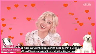 [VIETSUB] ROSÉ: The Puppy Interview - Rosé phỏng vấn cùng cún | BuzzFeed Celeb | (Part 1/3)
