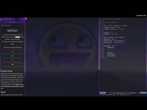 Avoiding Bad Characters - Linux x64 [Rop Emporium 0x4] - badchars