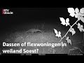 Soest wil opvang Oekraïners toch in weiland, kan scharrelende das ergens anders eten? | RTV Utrecht