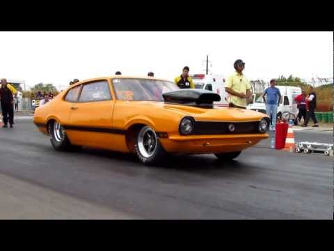 maverique amarelo TS CASTANON