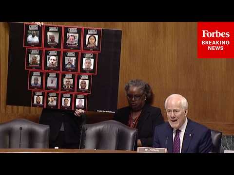 John Cornyn Leads Senate Judiciary Committee Hearing On 'Somali Fraud In Minnesota'