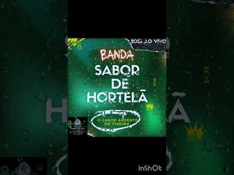 BANDA SABOR DE HORTELÃ 2026 AO VIVO 