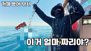 거제 방어낚시 갔다가 멘탈 털렸습니다 🐟 l 혹독한 남해 신고식ㅣ직접 해본 방어회 손질 l 가배항 사이다호 🛥️