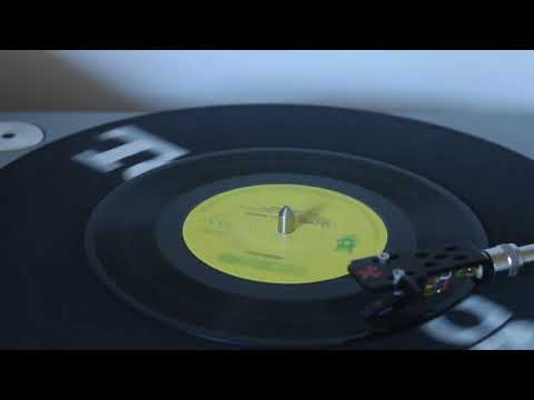 Ion Luican - La umbra Nucului Batran (Originala Vinil)