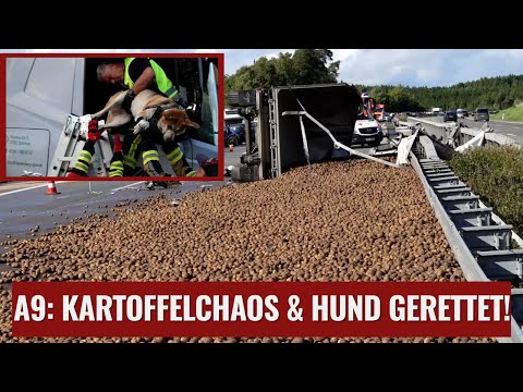 Serious truck accident on the A9: Potato chaos & rescue of a dog!