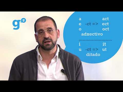 Vídeo: Os grupos ct