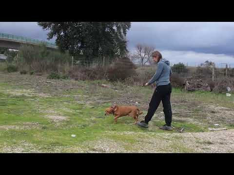 Vídeo de COOPER