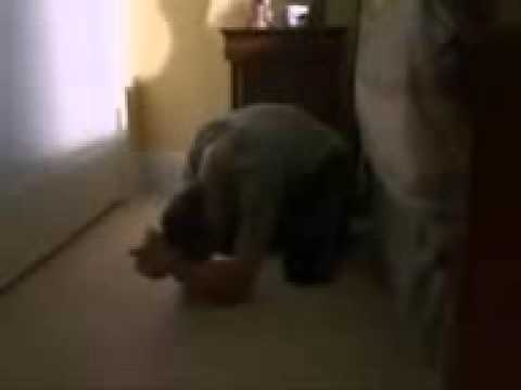 Eu sou Jesus Vanessa granuzzio