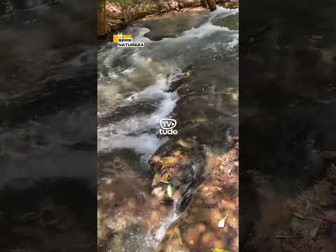 CACHOEIRA DE MIRAVÂNIA