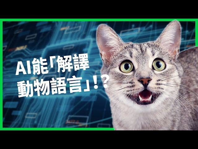 https-::www.youtube.com:watch?v=TSJwMZvw