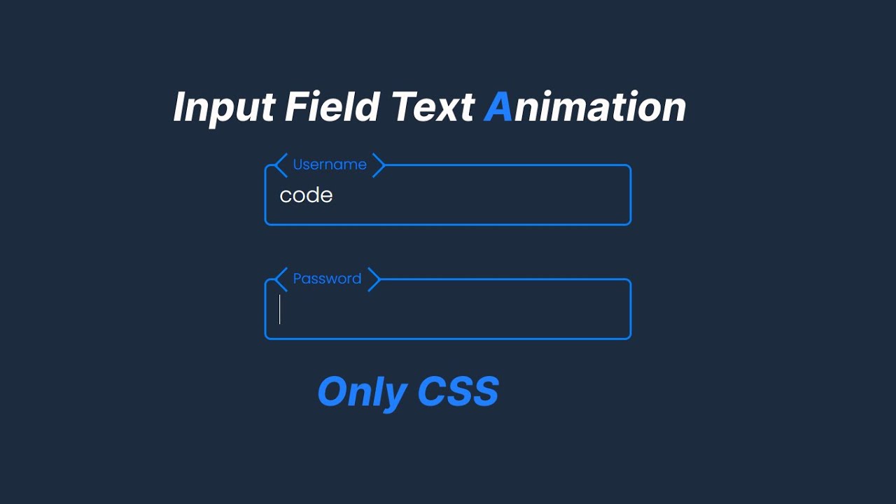 CSS Input Field Text Animation @CodingMaker