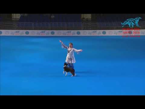 FCI Dog dance World Championship 2016 – Freestyle final - Eibogina Liudmila and Nika (Russia)