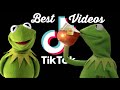 Best TikTok Videos Of KERMIT THE FROG