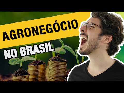 A IMPORTÂNCIA DO AGRONEGÓCIO NO BRASIL | MANUAL DO BRASIL