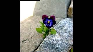 DON BRYANT - WHEN SOMETHING IS WRONG WITH MY BABY