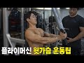 플라이머신 윗가슴 운동팁 / 상부 가슴 근육 채우기 / 굽은등 체형이라면 해보세요
