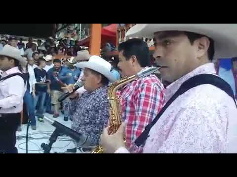 Catarino leos ...Al Pie de Un Arbol    (Palomazo)