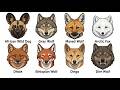Every Wild Canine On Earth Explained In 6 Minutes