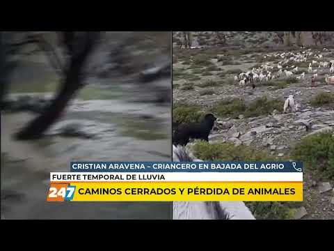 Caminos cerrados y pérdida de animales en Bajada del Agrio | Aravena | La Primera Mañana