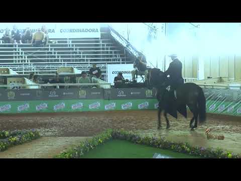 TRUENO DE DOS AGUAS, CAMPEÓN JOVEN TROCHA Y GALOPE COPA SUROESTE TITIRIBI GRADO B 2026