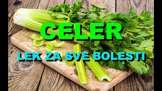 Celer – lek za sve bolesti
