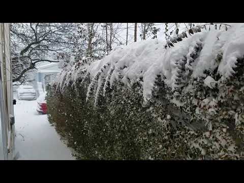 WINTER SNOW STORM IN BUFFALO NEW YORK ( KAISERTOWN ). 12/26/2020