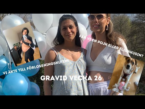 GRAVID Vecka 26 | Flick eller pojkkusin? Åker till förlossningsakuten!