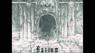 Burzum - 2011 - From The Depths Of Darkness - 01 - The Coming.wmv