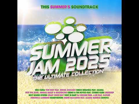 Tom Enzy Feat Mikkel Solnado   Get Up