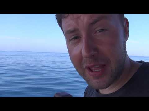 Echsen, Kröten und Schlangen in der Türkei - Martin auf großer Expeditionstour | NaturführerSpezial