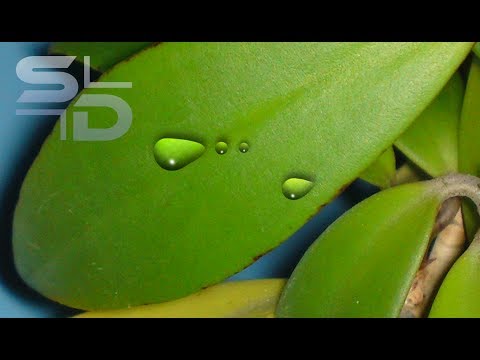 Photoshop Tutorial: Wassertropfen erstellen HD