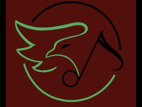 Green Hope Orchestra Promotional Video