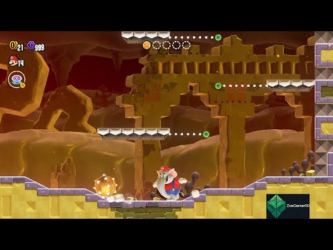 Super Mario Bros. Wonder Deep Magma Bog Search Party Item Park