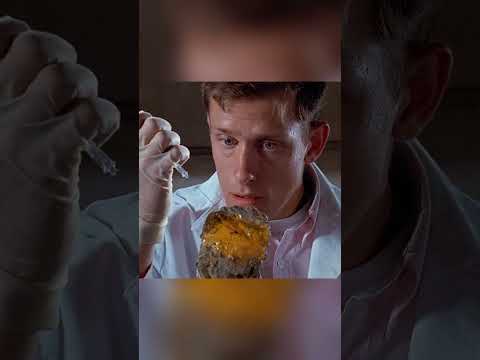 أعادوا الديناصورات إلى الحياة باستخدام دم بعوضة عمرها 60 مليون سنة!#shorts