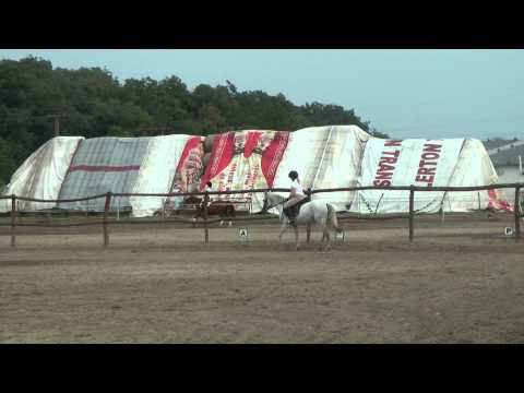 Háziverseny, Dia, D1