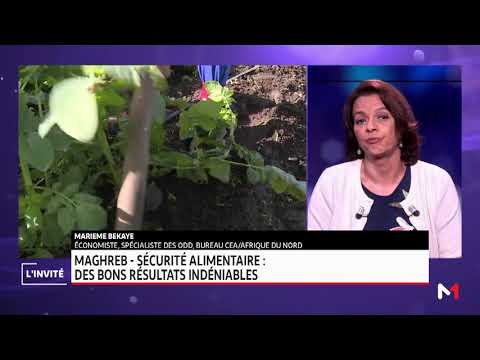 Marieme Bekaye, Sustainable Development: The Situation in the Maghreb