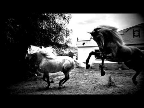 Horse of Kings, Thief of Hearts