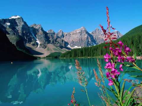 Luigi Lusini - Who We Are