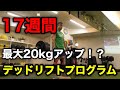 17週間で最大20kgアップ!?今日から新しいデッドリフトプログラムを始めます。