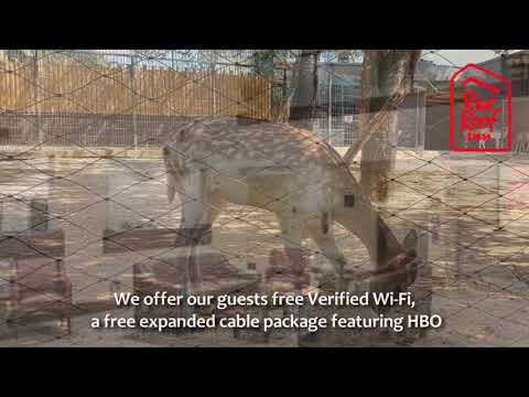 Red Roof PLUS+ & Suites Atlanta Airport South