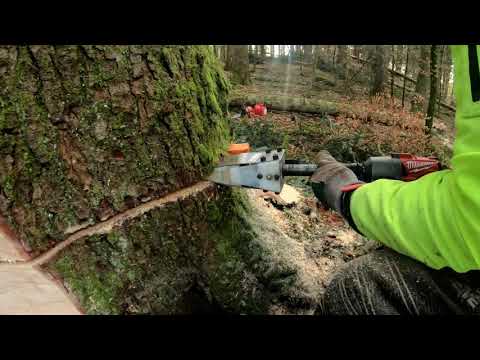 Akumulátorový klin na ťažbu dreva // Akku Fällkeil // Felling wedge 🌲